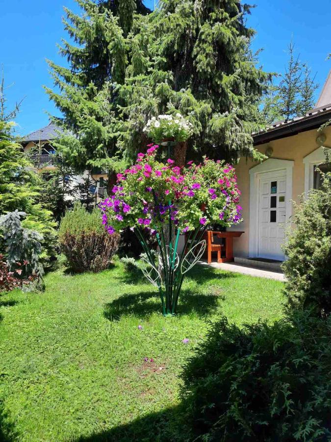 Apartments Vila Matija Zlatibor Exterior foto